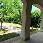Dora بولا